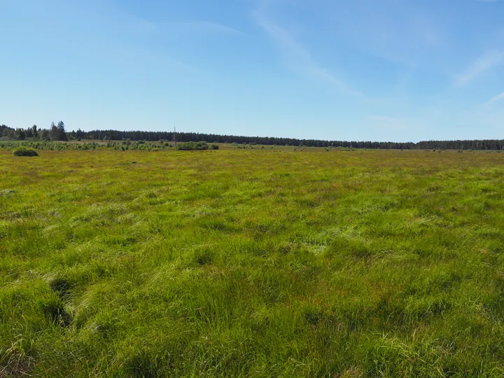 Signal de Botrange (België)